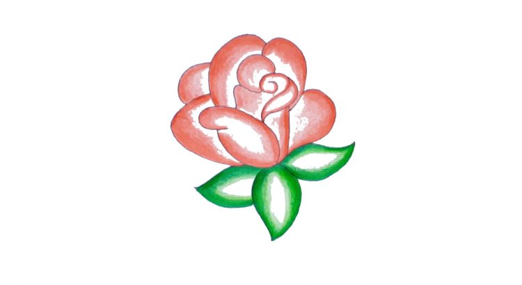 rose cartoon